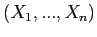$(X_1,...,X_n)$