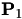 eq185