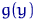 $g(y)$