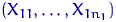 $(X_{1 1}, \ldots, X_{1 n_1})$