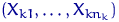$(X_{k 1}, \ldots, X_{k n_k})$